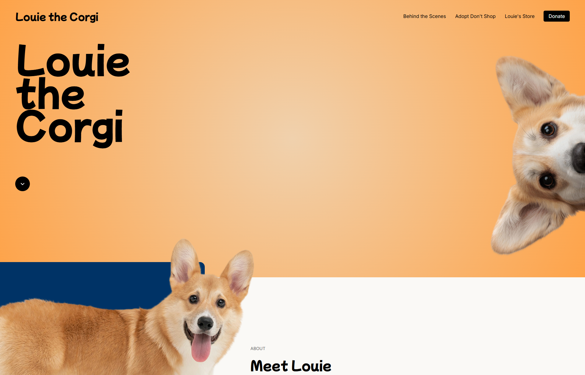 Louie the Corgi